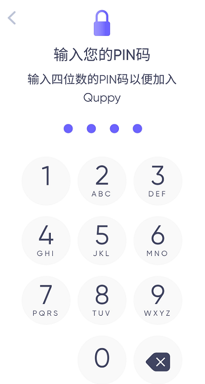图片[9]-注册一个Quppy钱包测试为WISE充值20美金激活账户-跨境具