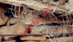 如何面对Wise账户封号问题及Wise封号原因猜想-跨境具