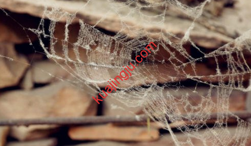 如何面对Wise账户封号问题及Wise封号原因猜想-跨境具