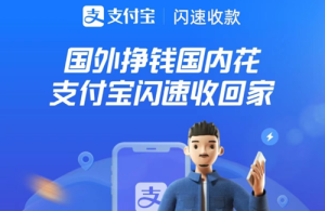 WISE提现到支付宝跨境闪速收款申报收入来源失败及解决方案-跨境具