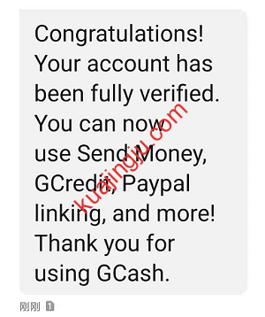 图片[16]-注册菲律宾支付宝GCASH钱包免费开通美国运通虚拟卡-跨境具