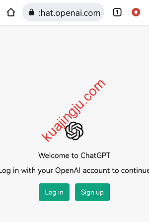 图片[4]-最新爆火人工智能产品ChatGPT注册过程分享-跨境具